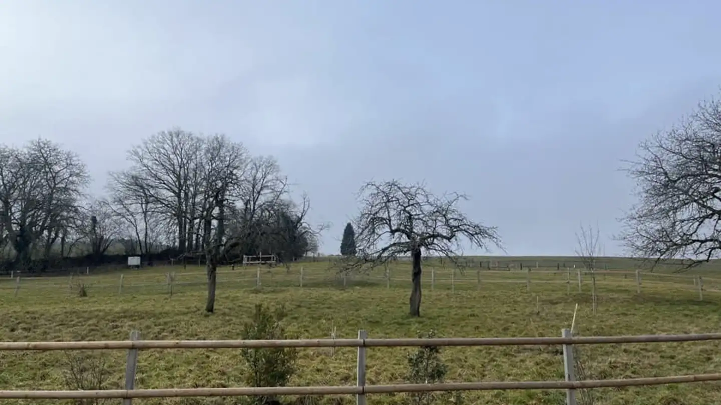 Single house for sale - 1538 Treytorrens (Payerne)