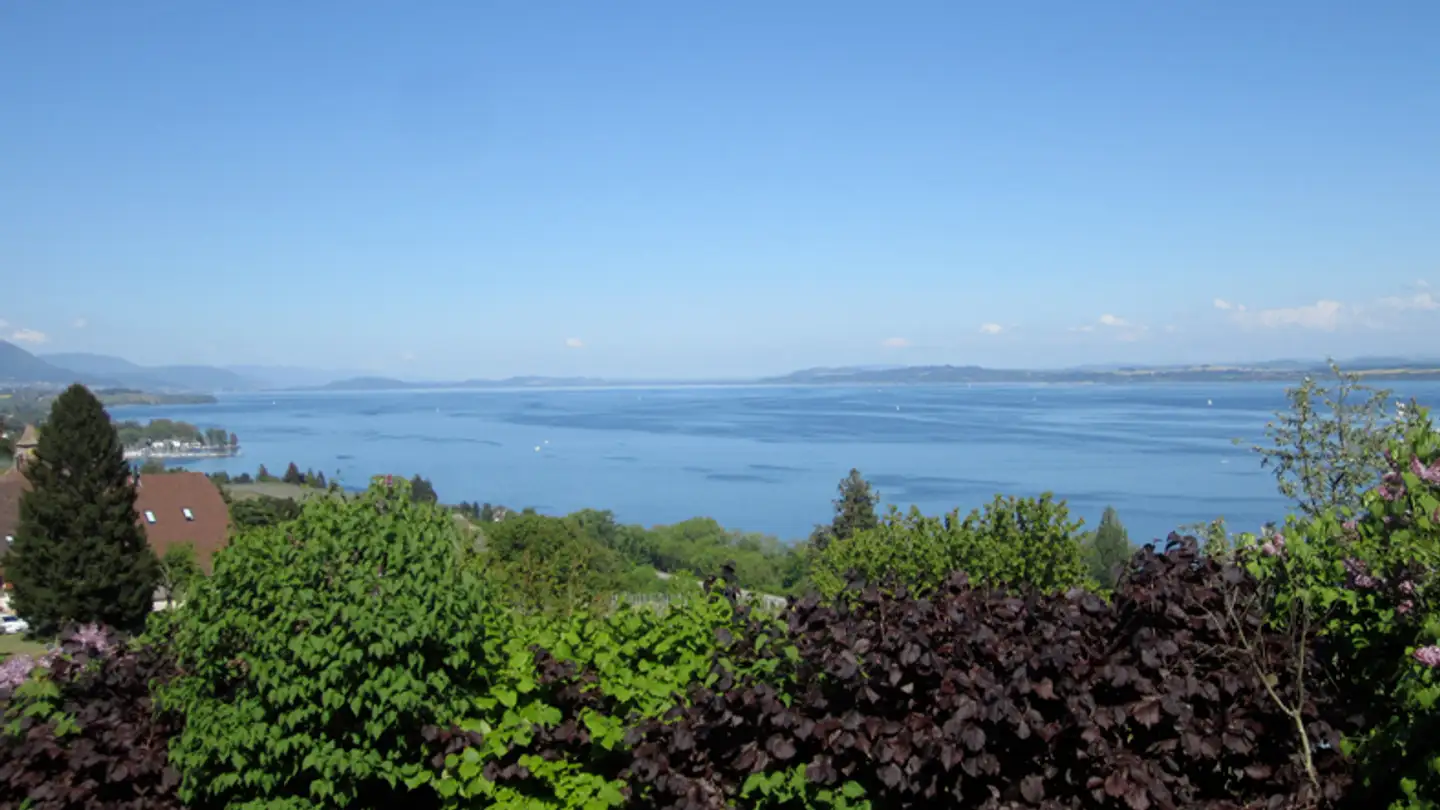 Villa in affitto - Vieux Village 20, 2028 Vaumarcus