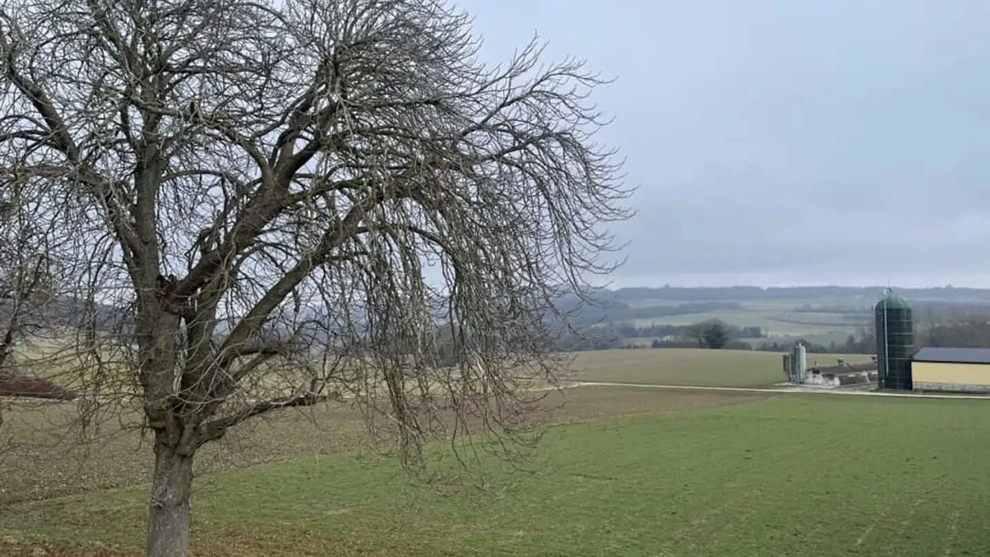 Casa singola in vendita - 1538 Treytorrens (Payerne) - Foto 3