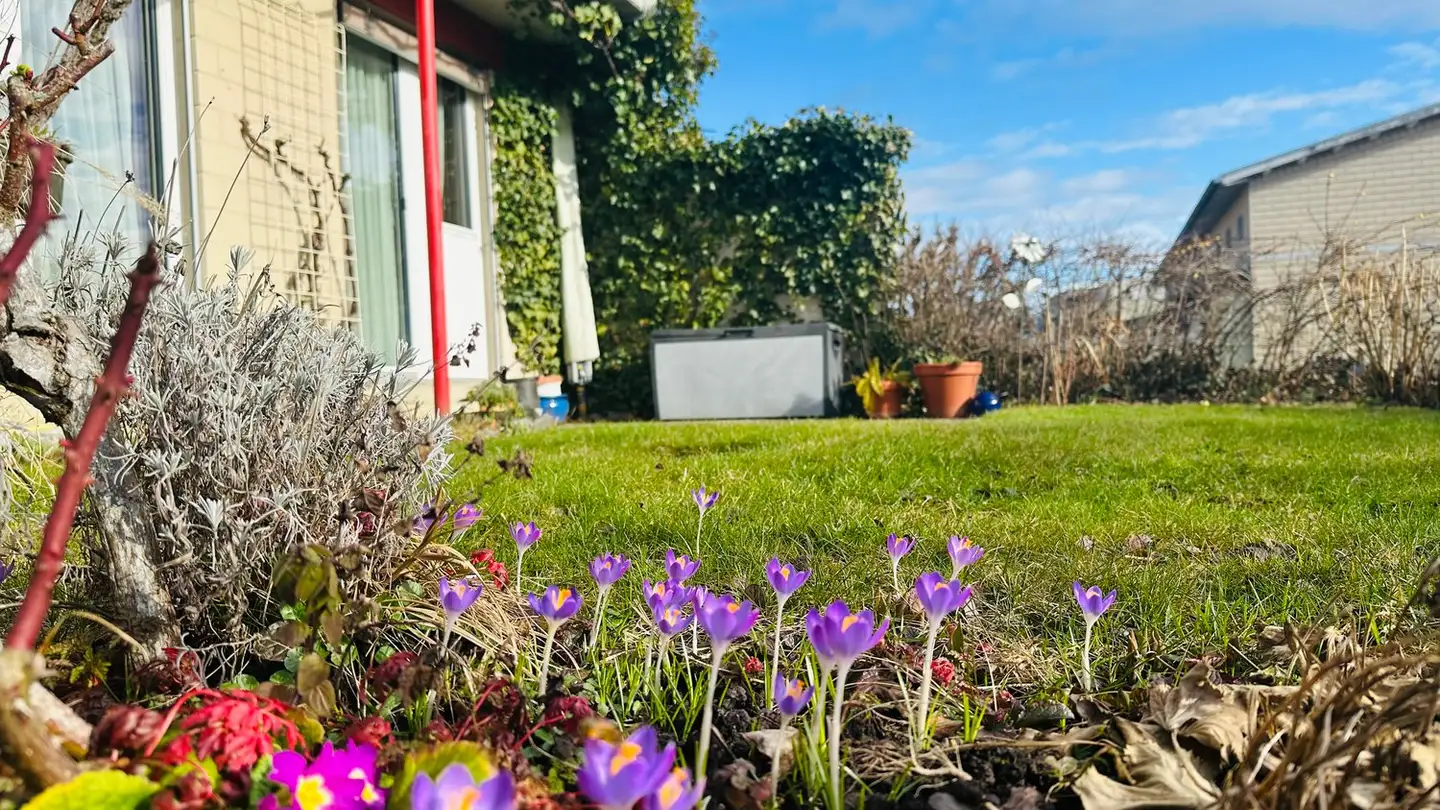 Row house for sale - Alte Landstrasse 174d, 6314 Unterägeri - Photo 3