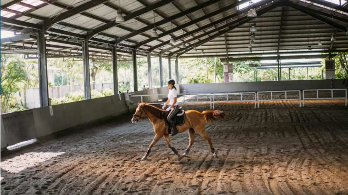 Bien immobilier à vendre - 6573 Magadino