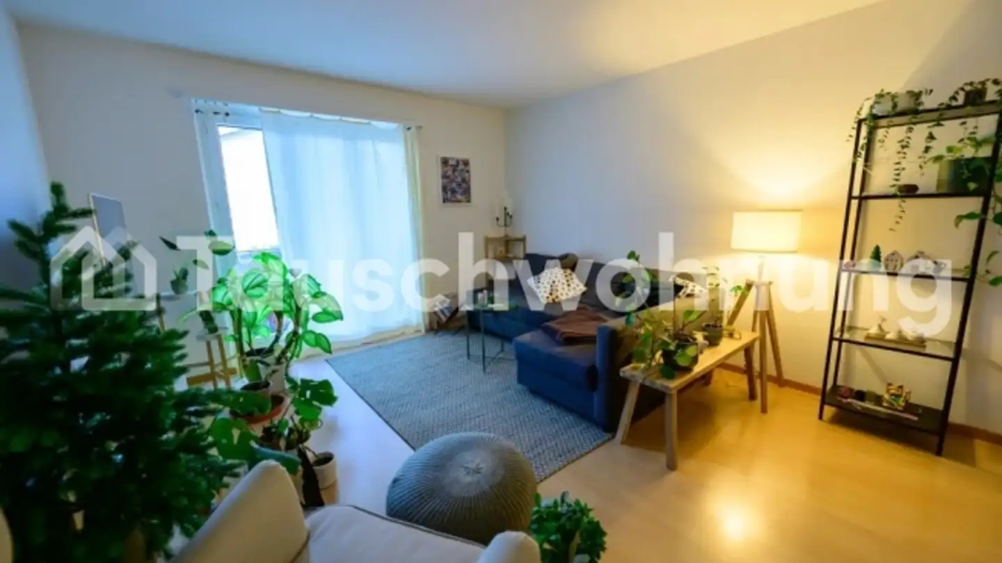 Dachgeschosswohnung mieten - 8055 Zürich