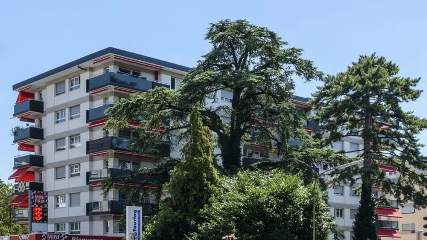 Hobby room for rent - Rue Collet 6, 1800 Vevey