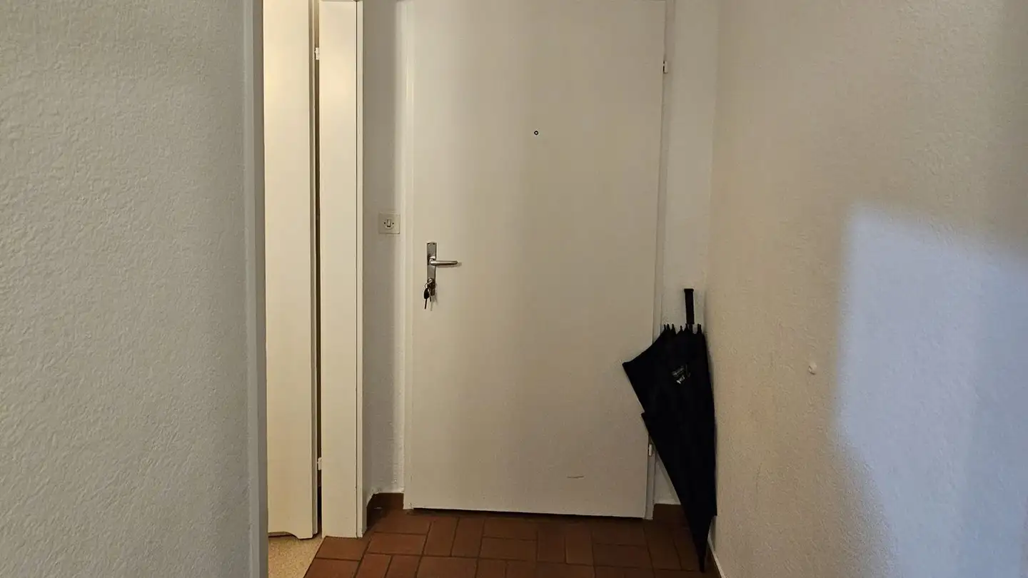 Appartamento in affitto - Neuheimstrasse 32, 8853 Lachen SZ - Foto 3