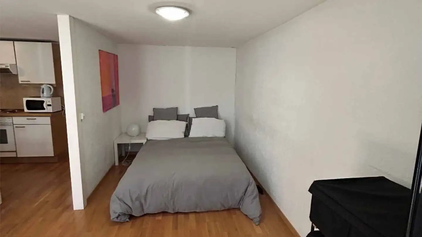 Appartamento ammobiliato in affitto - Rue Des Chaudronniers 8, 1204 Genève - Foto 4