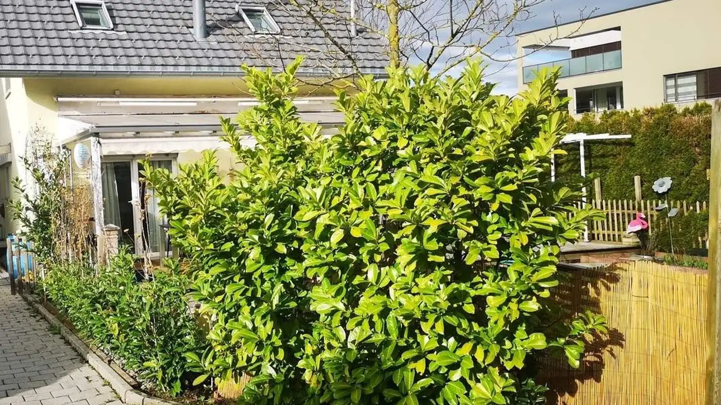 Single house for sale - 5643 Sins - Photo 3