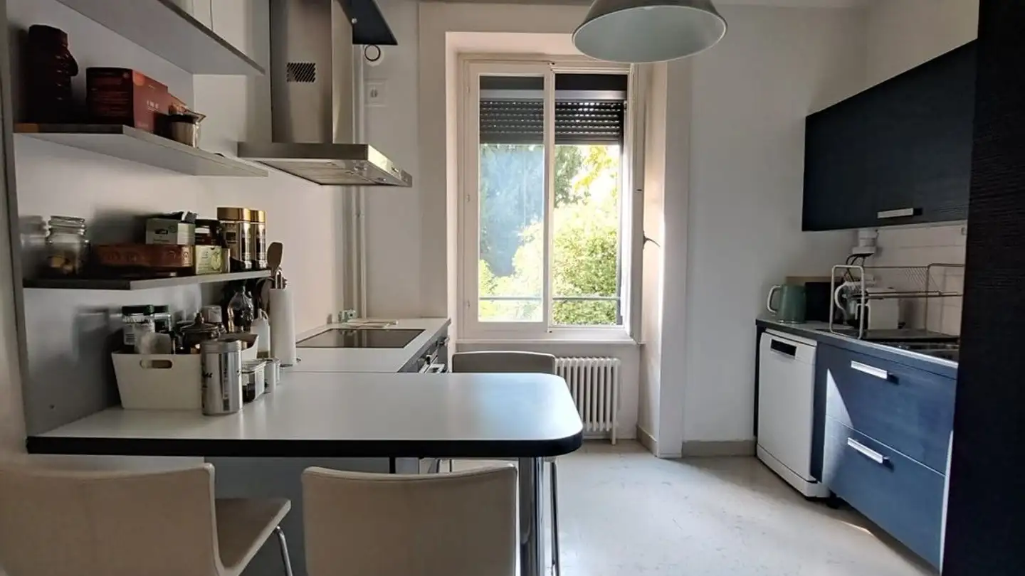 Single room for rent - Rue Tronchin 30, 1202 Genève - Photo 4