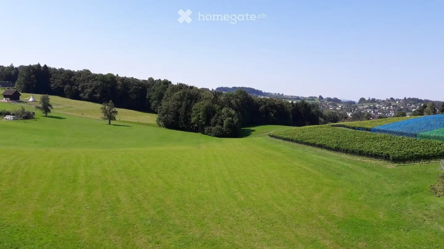 Appartamento in affitto - Riedstrasse 29, 8832 Wollerau - Photo 4