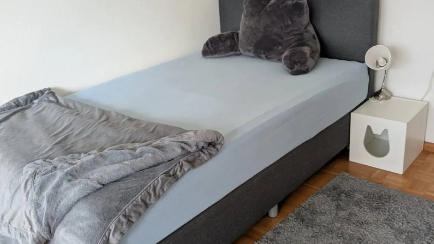 Zimmer mieten - 8702 Zollikon
