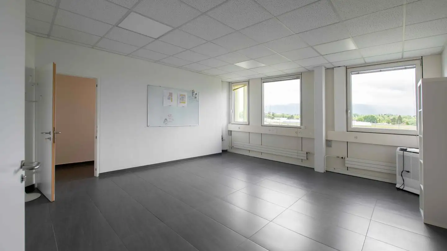 Bureau à louer - Chemin Des Aulx 12, 1228 Plan-les-Ouates