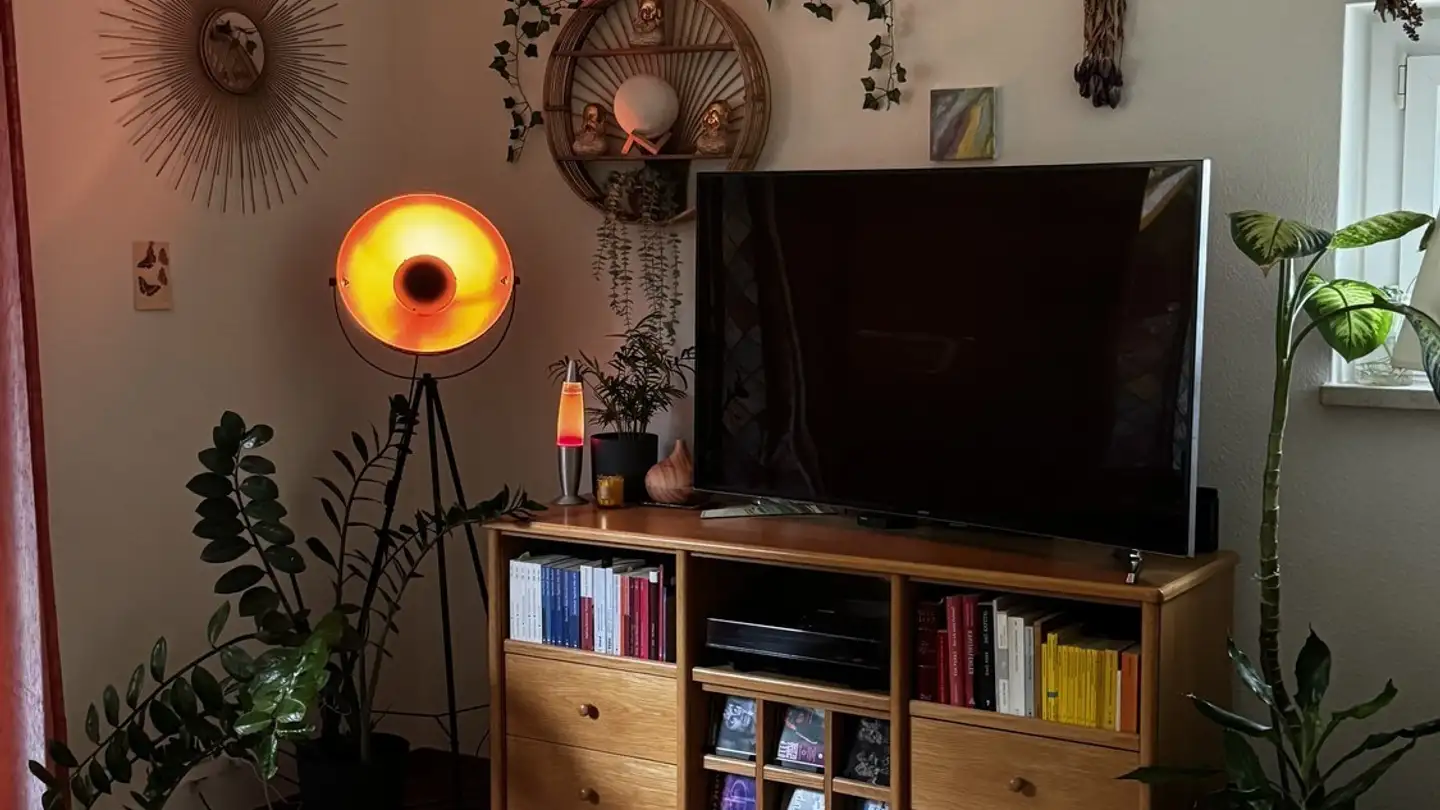 Chambre à louer - 8134 Adliswil