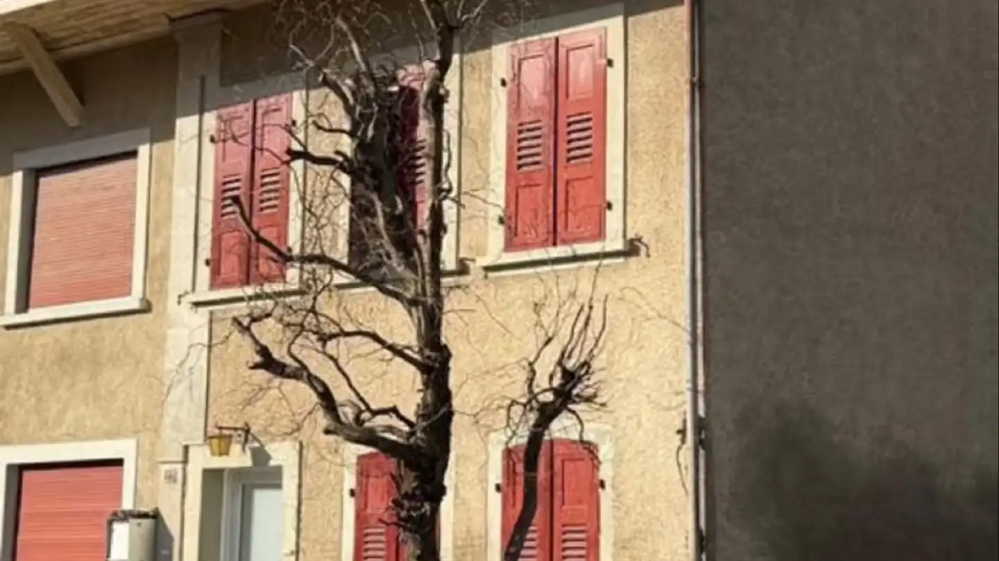 Appartamento in affitto - Route des Bays, 1562 Corcelles-près-Payerne