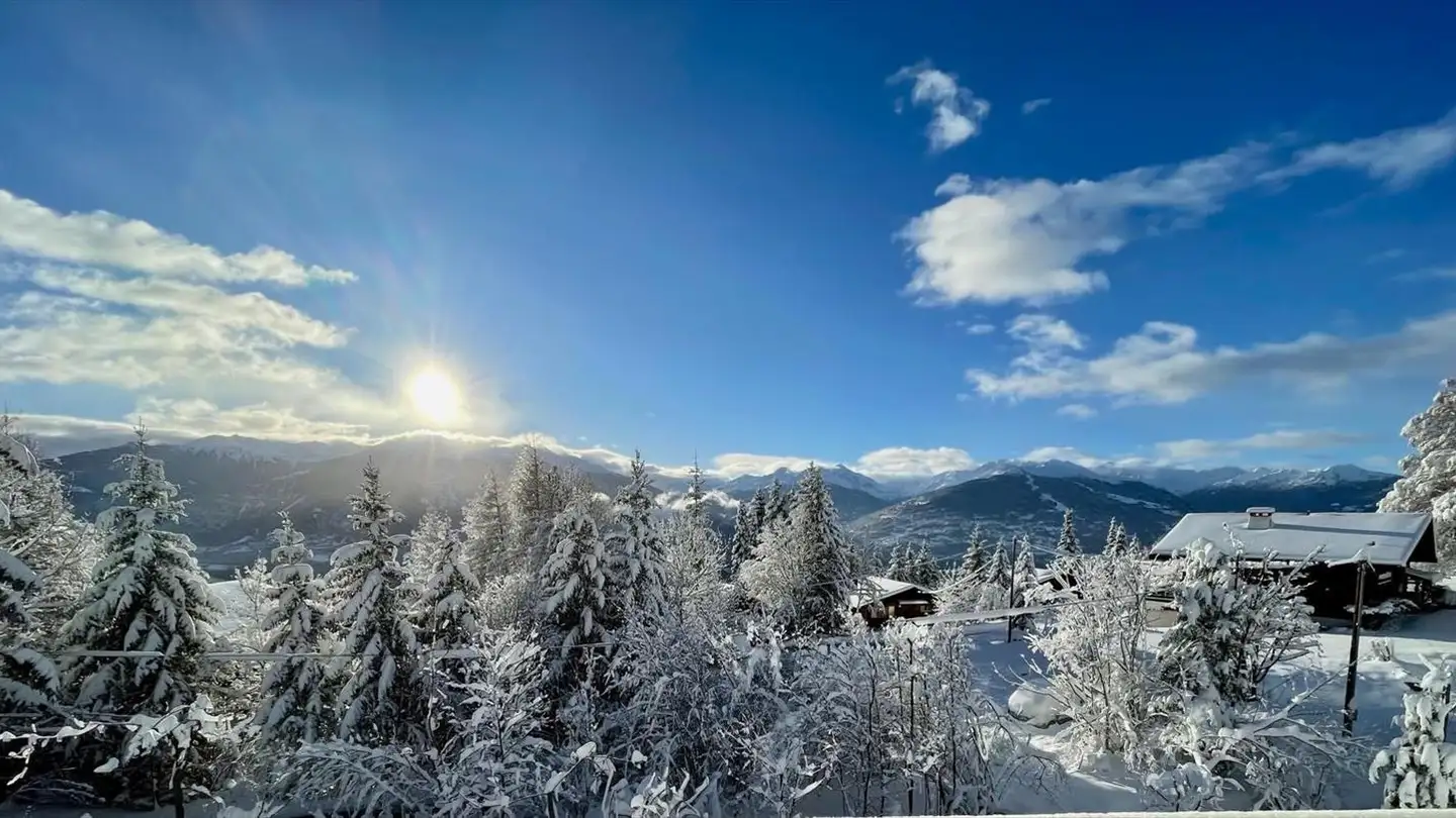 Chalet for sale - 1974 Arbaz - Photo 4