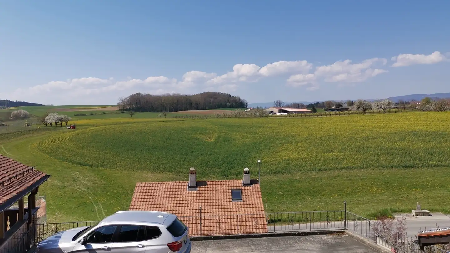 Appartamento in affitto - Rang Du Bas 11, 1787 Mur (Vully) VD - Photo 2