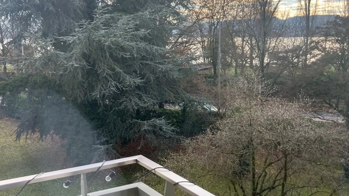 Wohnung mieten - Fröhlichstrasse, 8008 Zürich - Foto 2