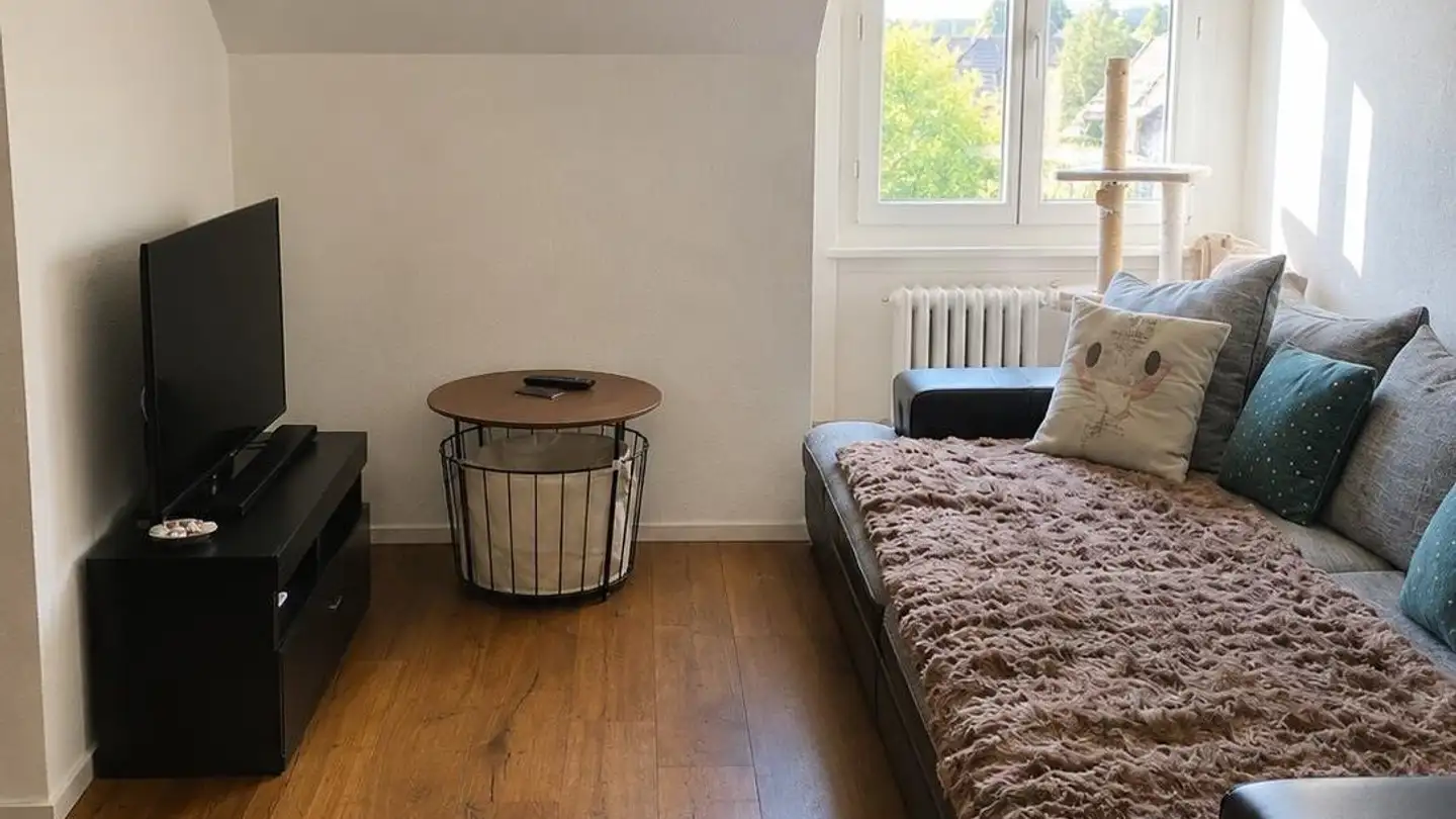 Wohnung mieten - Rossmarktplatz, 4500 Solothurn - Foto 3