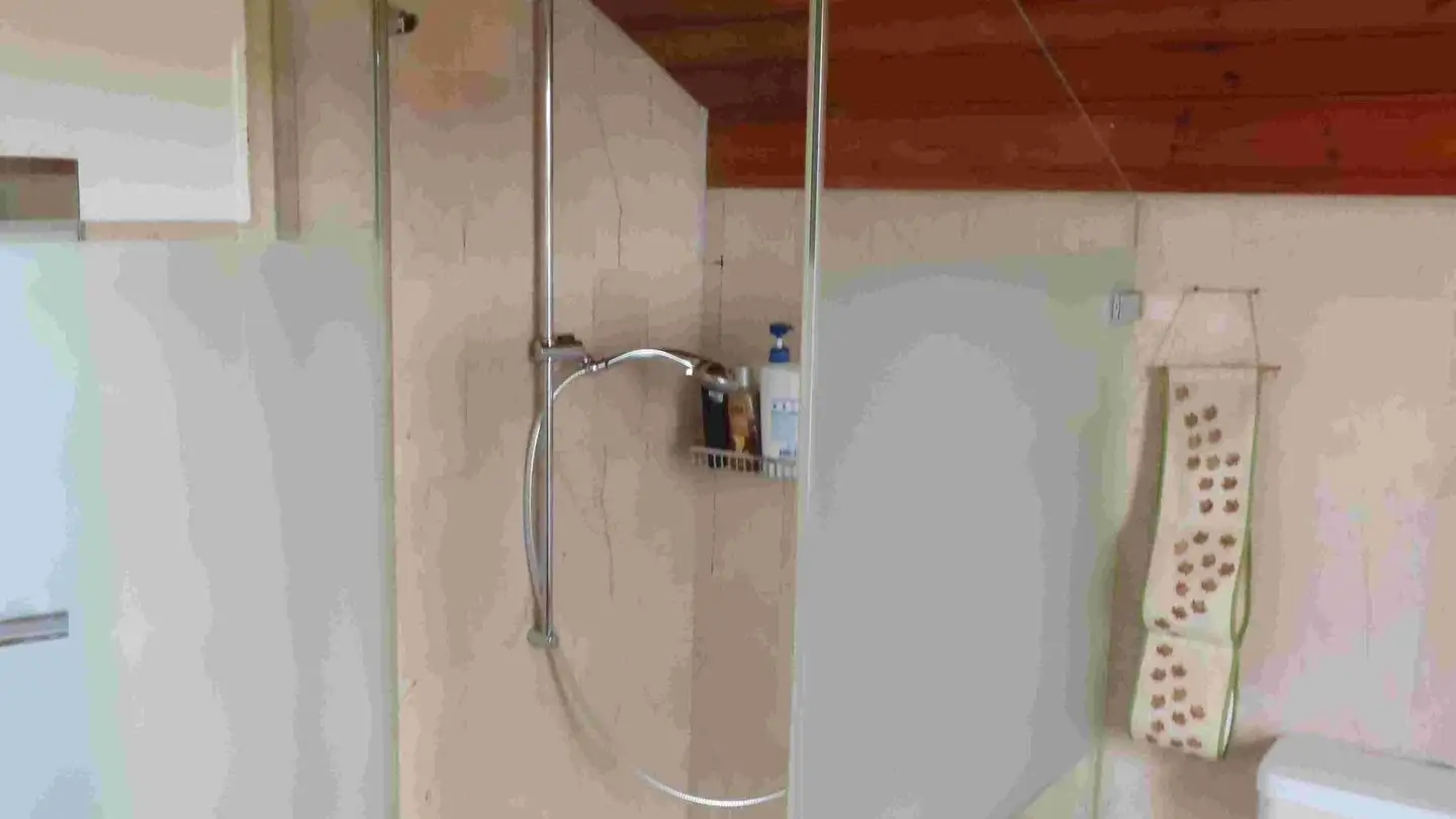 Single house for sale - Neuhauserstrasse 67a, 8500 Frauenfeld - Photo 4