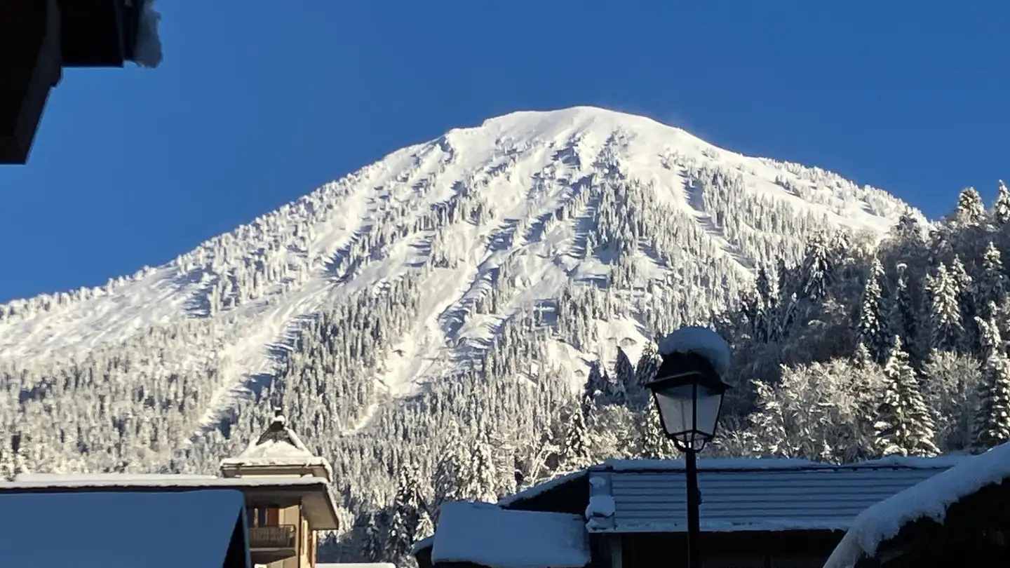 Appartamento in affitto - 1863 Le Sépey - Foto 3