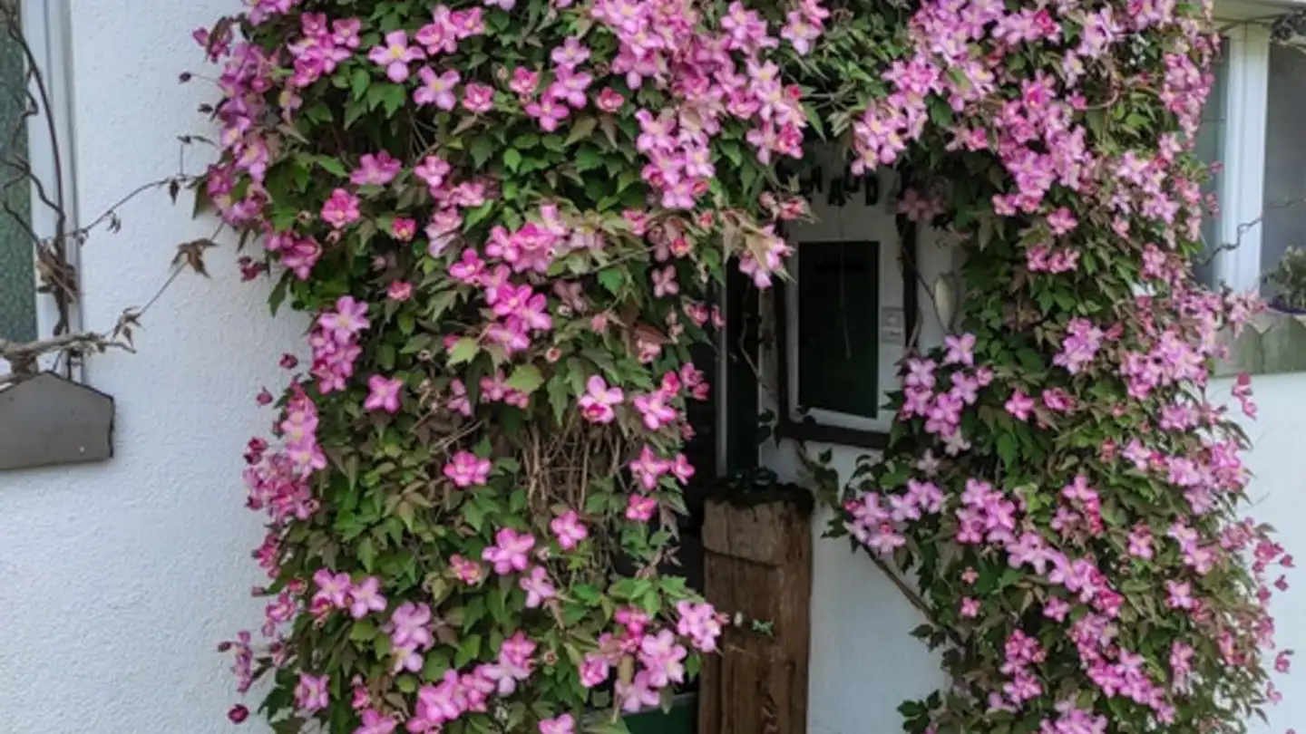 Einfamilienhaus kaufen - Berghalde 10, 8332 Russikon - Foto 2