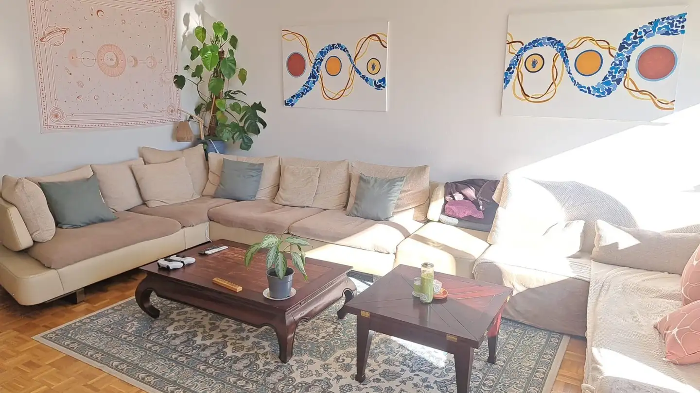 Stanza singola in affitto - 1012 Lausanne - Foto 4