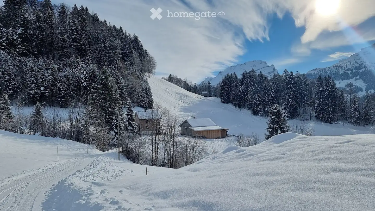 Single house for rent - Bärenfad, 6434 Illgau - Photo 2