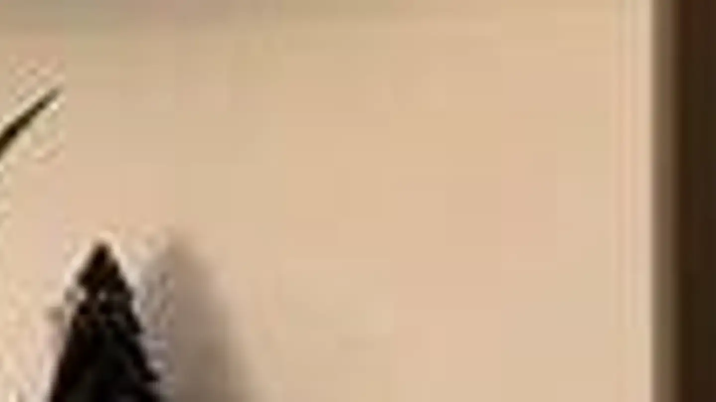 Dachgeschosswohnung mieten - Limmatstrasse 31, 5412 Vogelsang AG - Foto 2