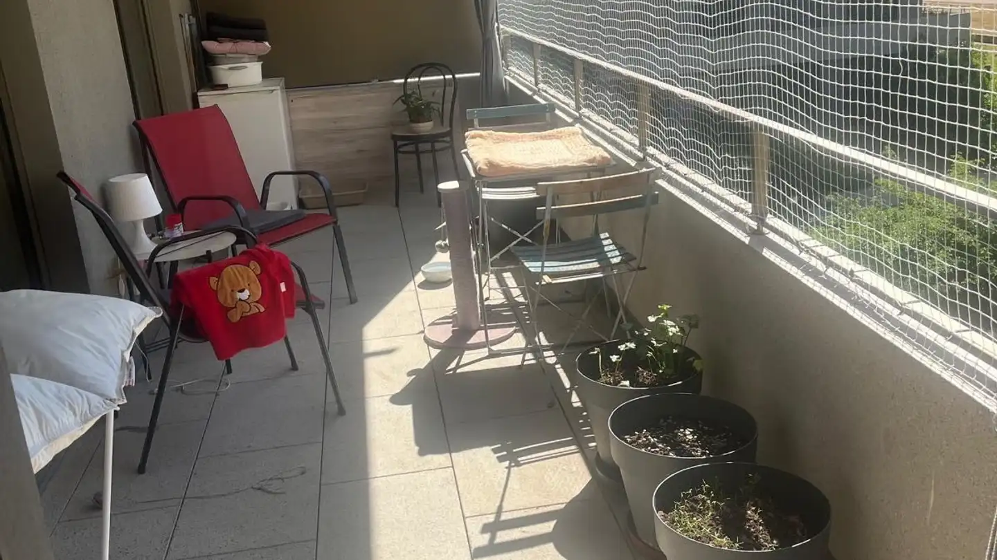 Stanza singola in affitto - Sente Du Méteil 8, 1226 Thônex - Foto 4