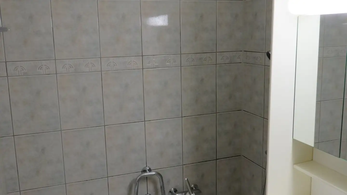 Appartement à louer - Oberwilerstrasse 66, 4054 Basel - Photo 4