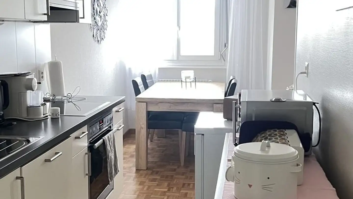 Appartamento in affitto - Chemin Guillaume-De-Pierrefleur 54, 1004 Lausanne - Foto 2