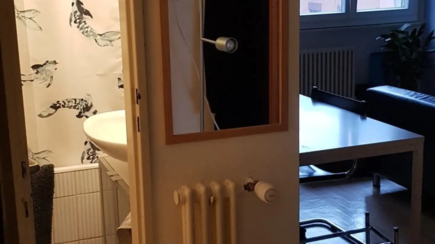 Apartment for rent - Chemin Du Frêne 9, 1004 Lausanne