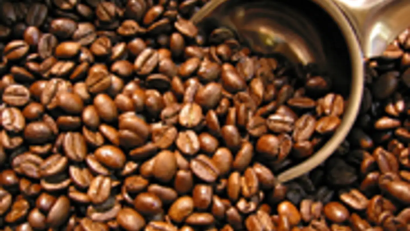 Commercial à louer - 1201 Genève