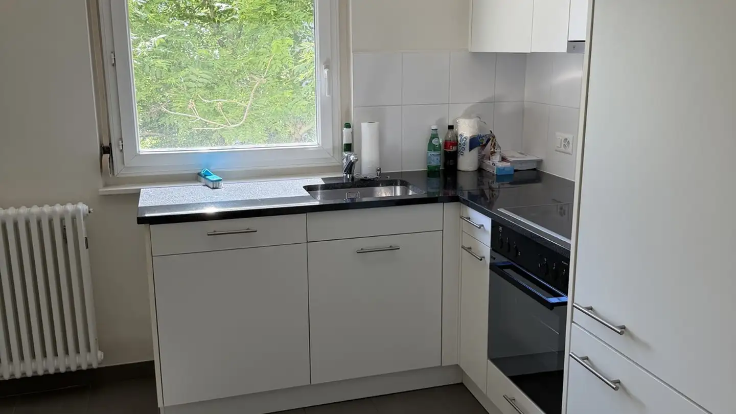 Appartement à louer - Rue Du Grand-Pré 53, 1202 Genève - Photo 4