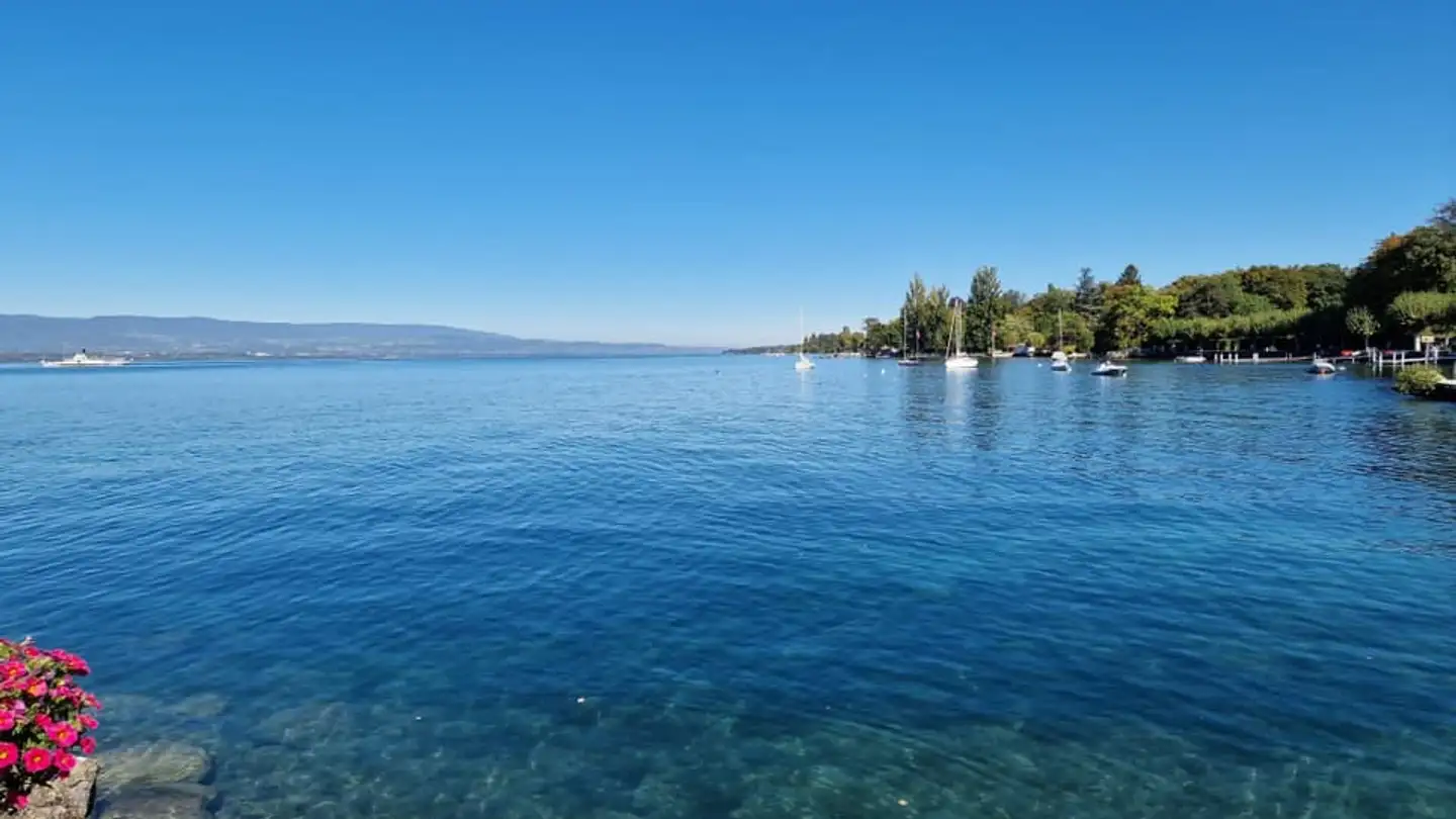 Appartement à vendre - 1245 Collonge-Bellerive