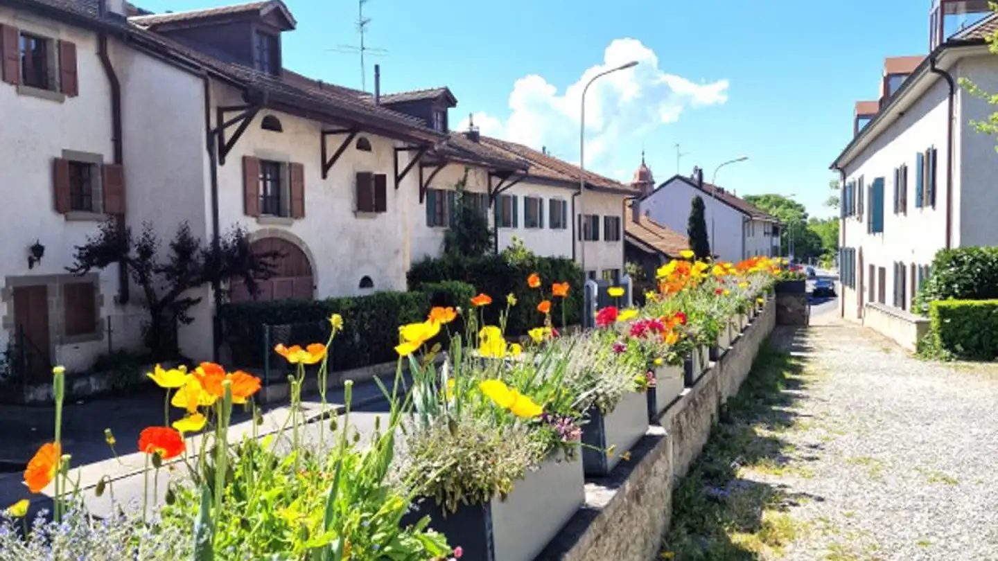 Appartamento in vendita - 1245 Collonge-Bellerive - Photo 2