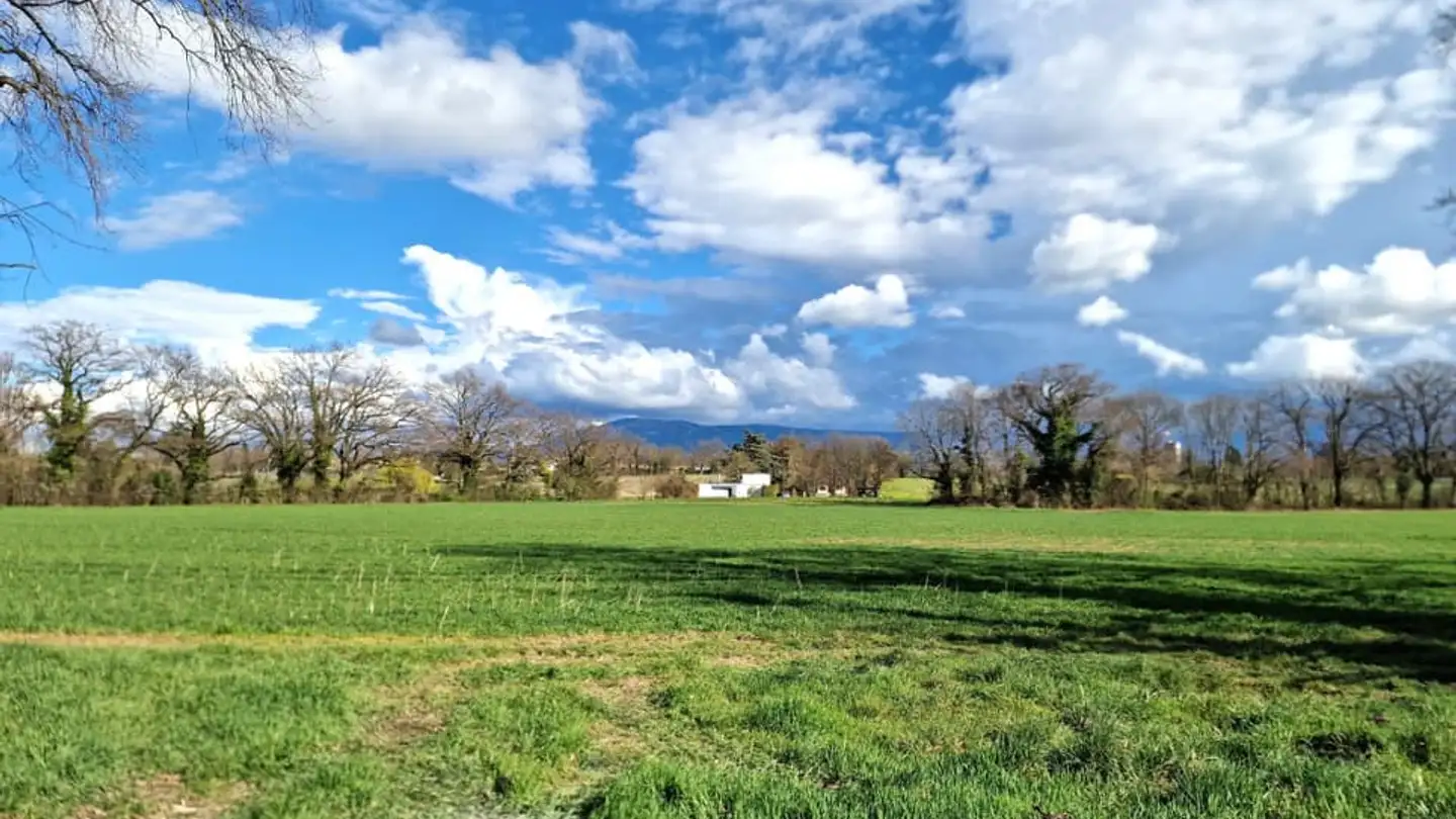 Appartamento in vendita - 1245 Collonge-Bellerive - Photo 3