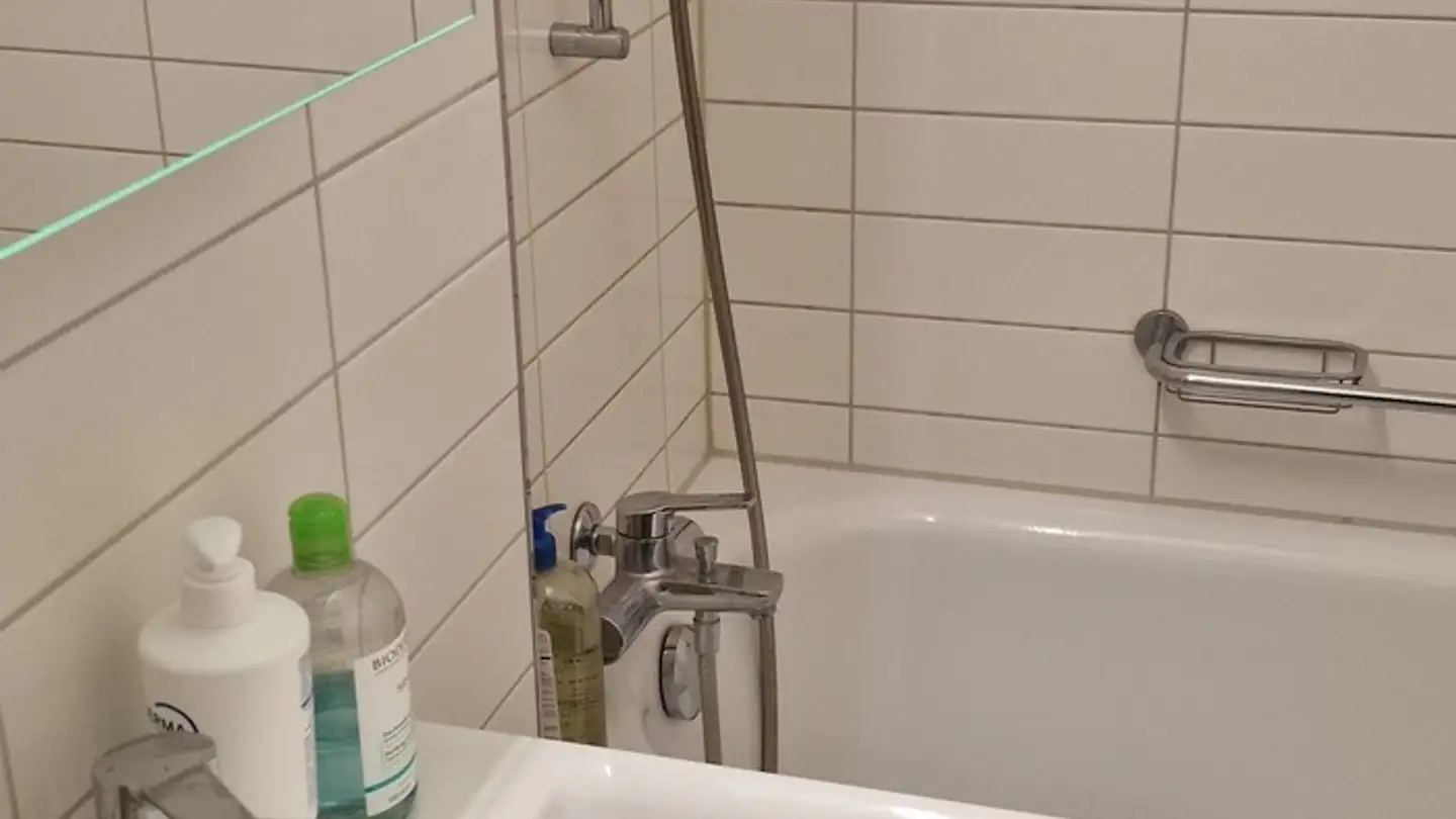 Chambre à louer - Badenerstrasse 253, 8003 Zürich - Photo 4