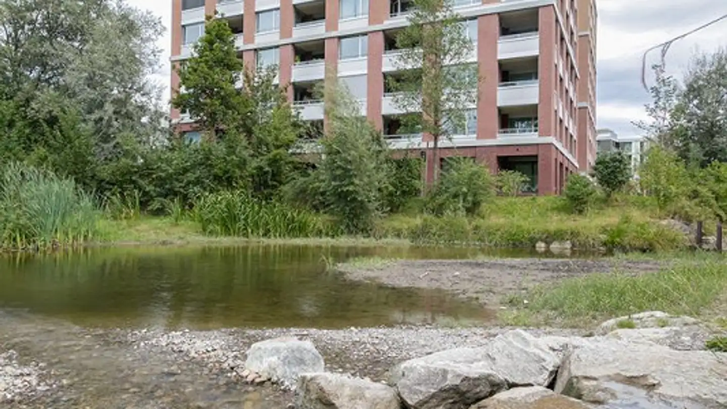 Appartement à louer - Ziegeleiweg 1, 6010 Kriens