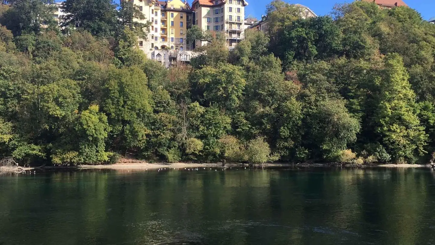 Attic flat for sale - 1203 Genève - Photo 2