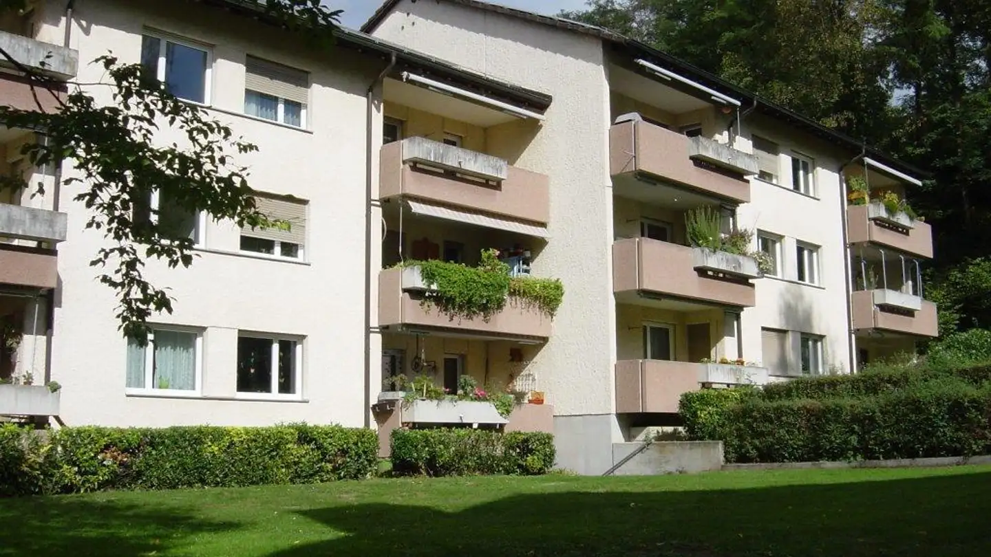 Appartamento in affitto - Steinmattweg 15, 4143 Dornach