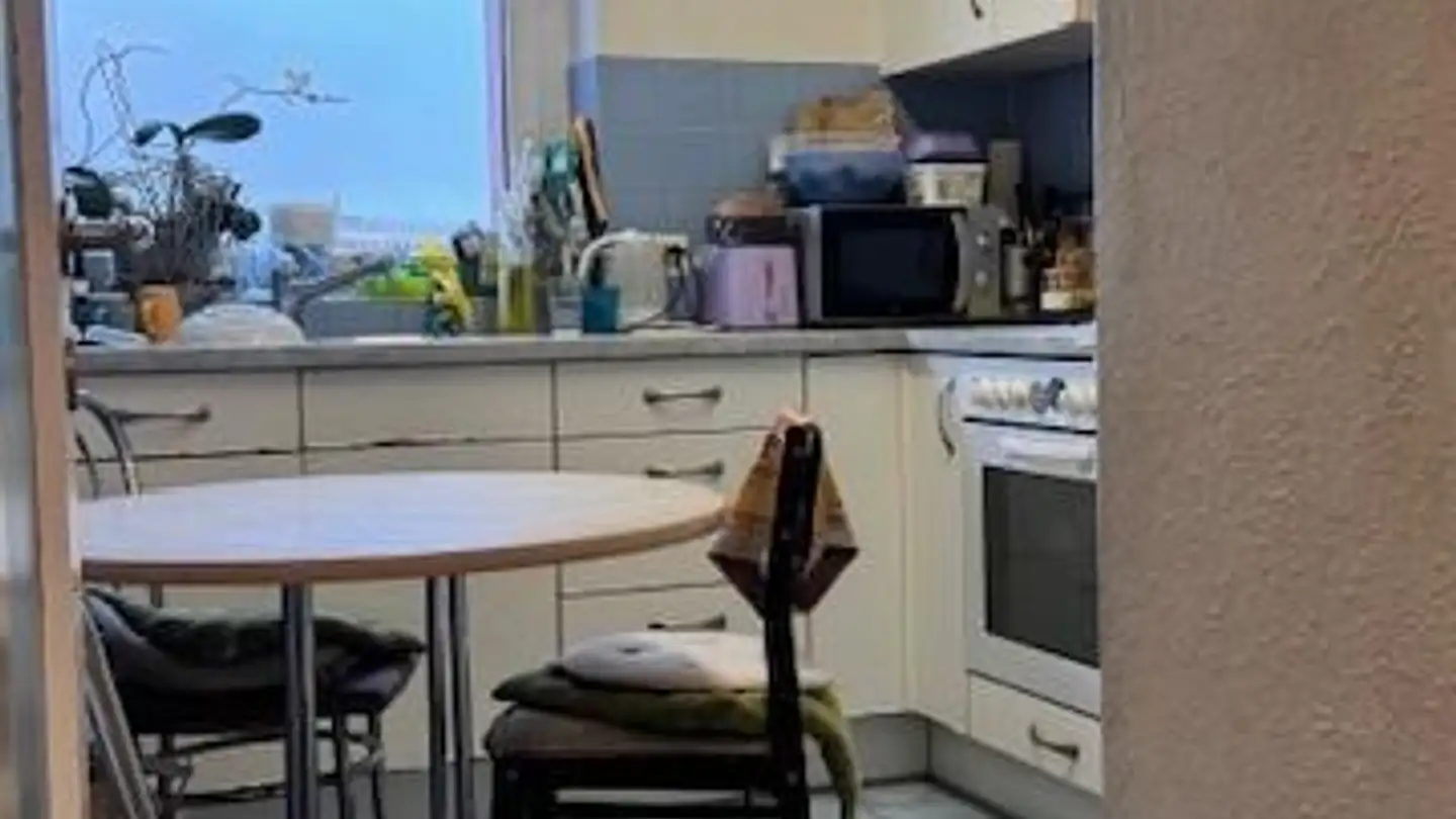 Appartamento in affitto - Birchlenstrasse 59, 8600 Dübendorf - Foto 2