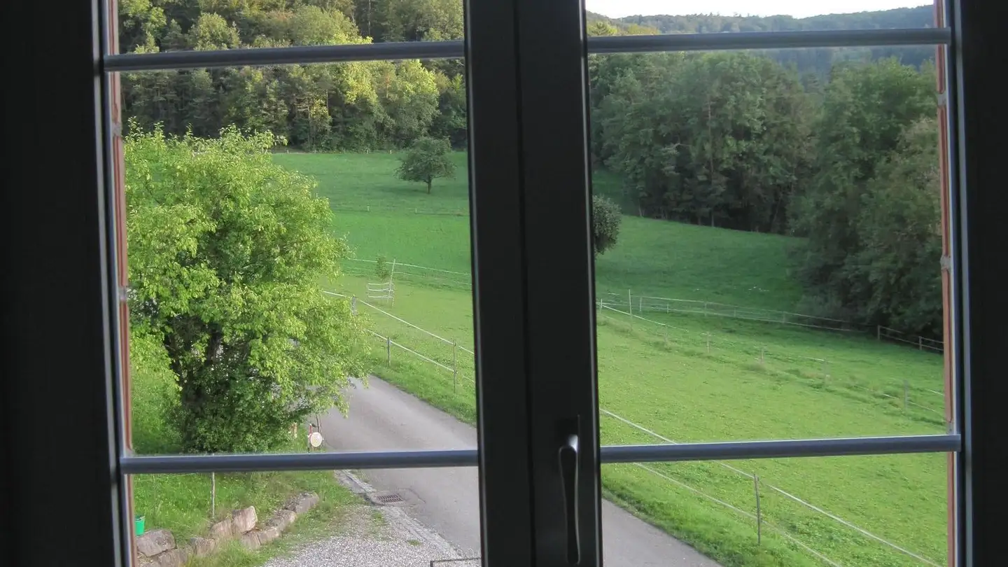 Dachgeschosswohnung mieten - Hondern 5, 5079 Zeihen