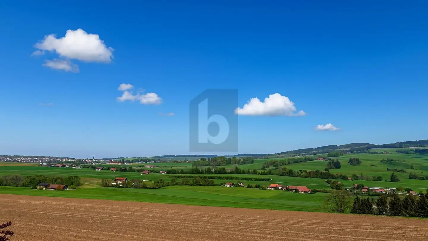 Villa mieten - 1628 Vuadens - Foto 2