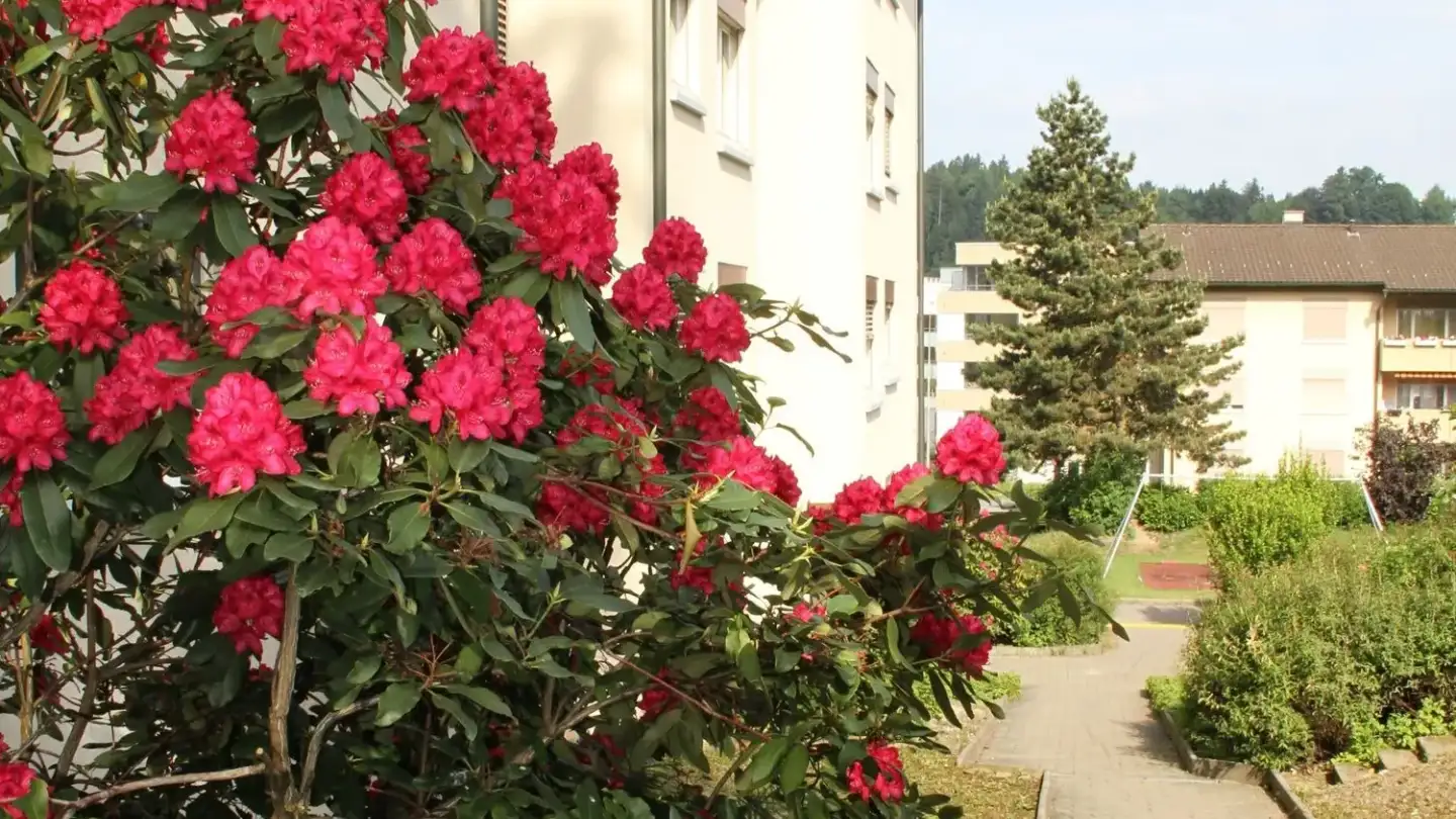 Appartement à louer - Alfred-Schindlerstrasse 8, 6030 Ebikon