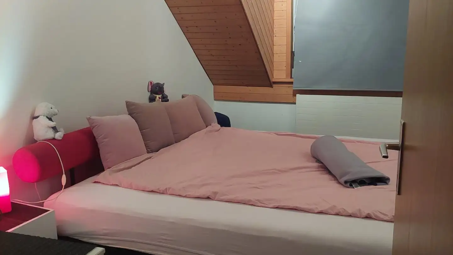 Wohnung mieten - 8486 Rikon im Tösstal - Foto 4