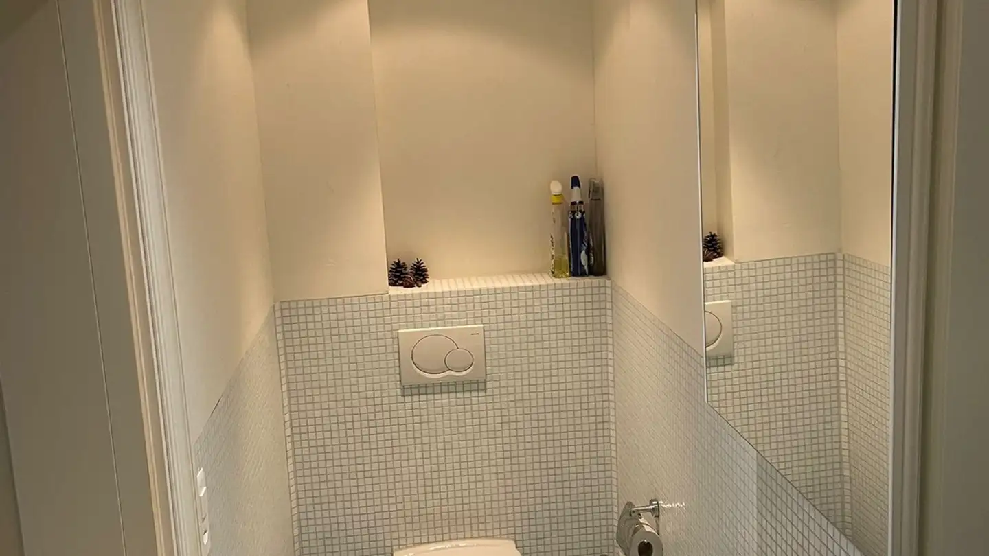 Appartement à louer - Uetlibergstrasse 360, 8045 Zürich - Photo 2