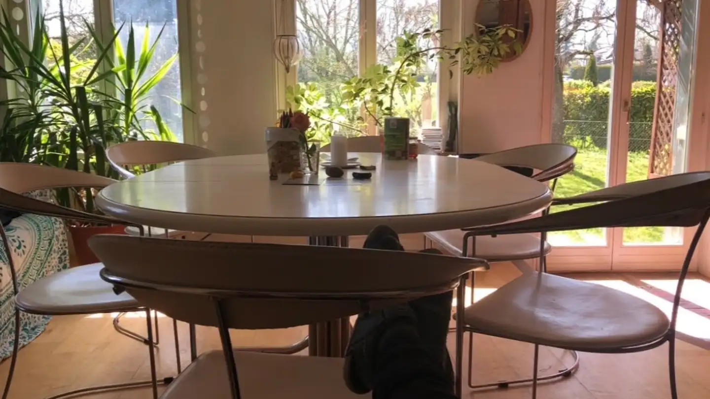 Single room for rent - Oberwies, 8574 Lengwil - Photo 3