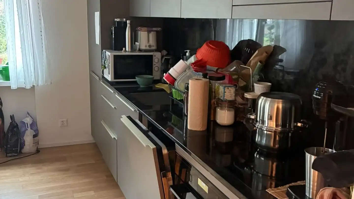 Apartment for rent - Steinhauserstrasse 54, 6300 Zug - Photo 4