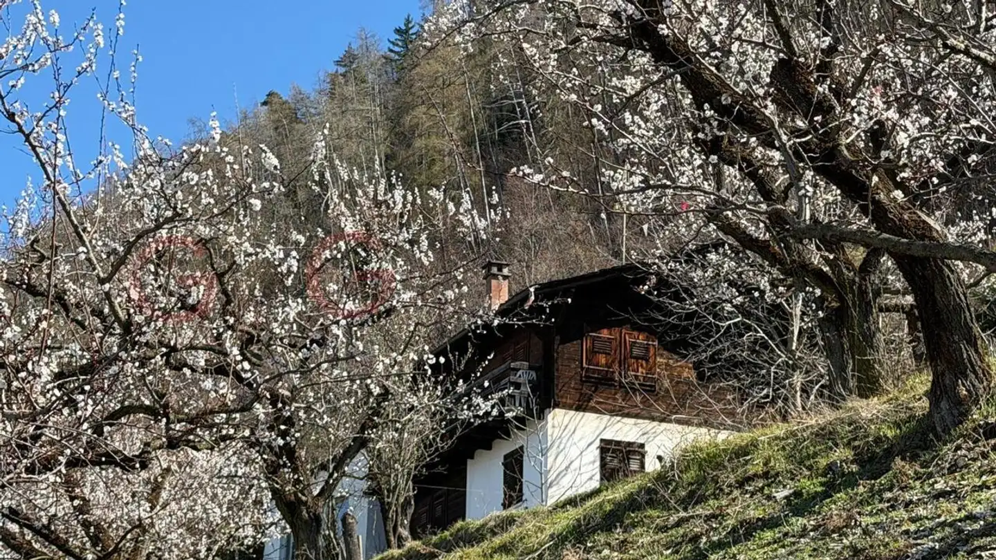 Chalet in vendita - 1907 Saxon