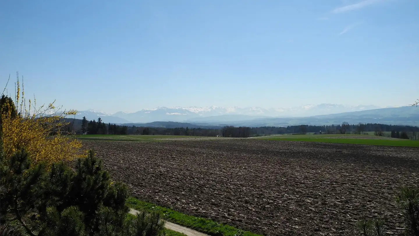 Einfamilienhaus mieten - Sonnacker 49, 8905 Arni AG - Foto 4