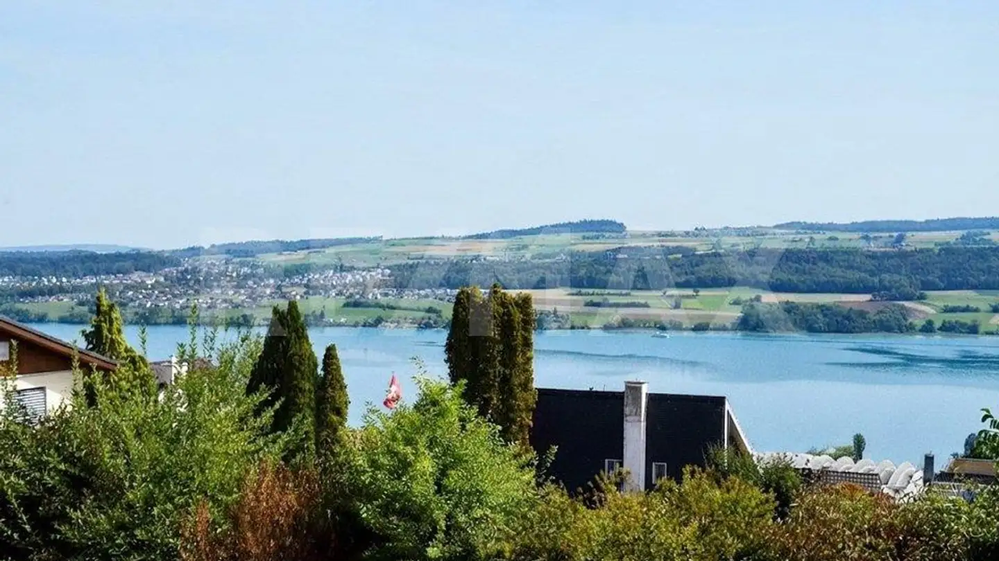 Appartement meublé à vendre - 5712 Beinwil am See - Photo 3